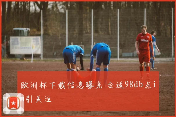 欧洲杯下载信息曝光 合适98db点in引关注