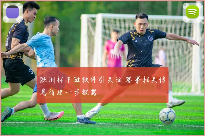 欧洲杯下驻软件引关注 赛事相关信息待进一步披露
