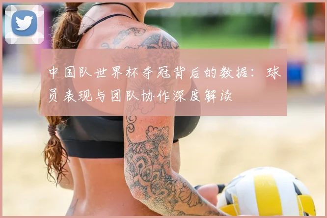 中国队世界杯夺冠背后的数据：球员表现与团队协作深度解读