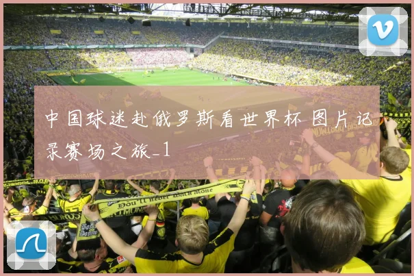 中国球迷赴俄罗斯看世界杯 图片记录赛场之旅_1