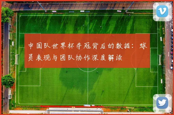 中国队世界杯夺冠背后的数据:球员表现与团队协作深度解读