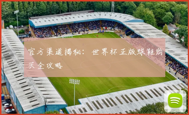 官方渠道揭秘：世界杯正版球鞋购买全攻略