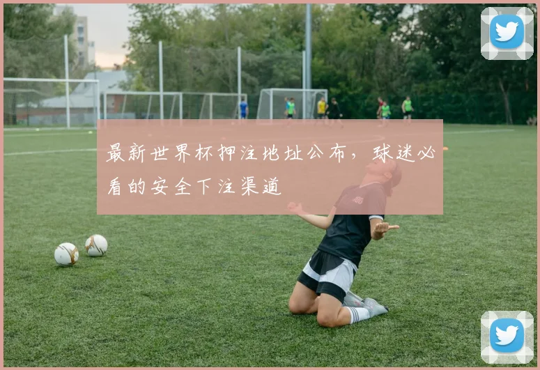 最新世界杯押注地址公布,球迷必看的安全下注渠道