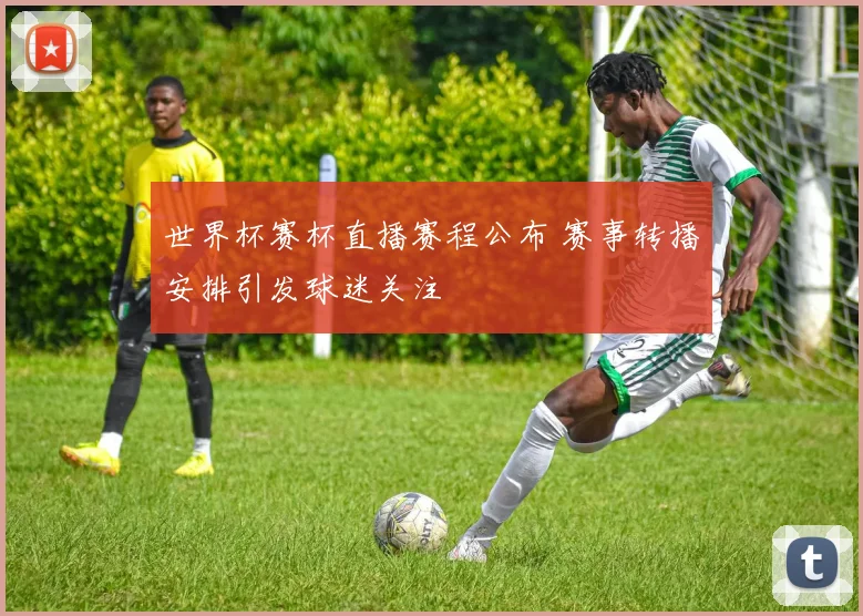 世界杯赛杯直播赛程公布 赛事转播安排引发球迷关注