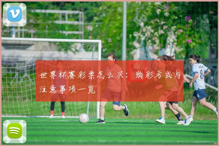 世界杯赛彩票怎么买：购彩方式与注意事项一览