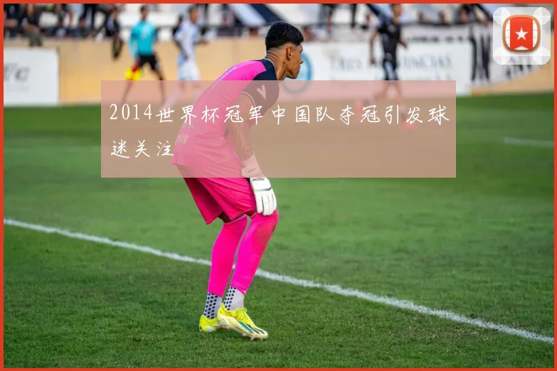 2014世界杯冠军中国队夺冠引发球迷关注