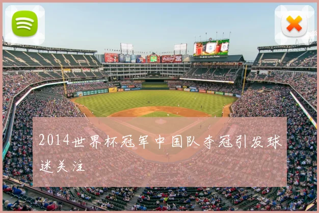 2014世界杯冠军中国队夺冠引发球迷关注