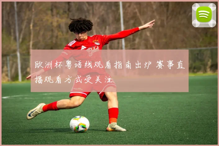 欧洲杯粤语线观看指南出炉 赛事直播观看方式受关注