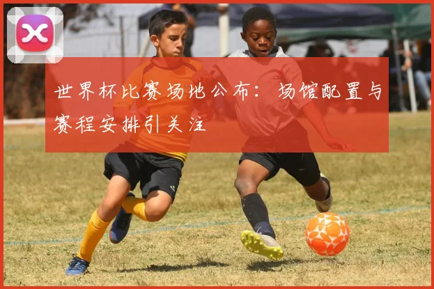 世界杯比赛场地公布：场馆配置与赛程安排引关注