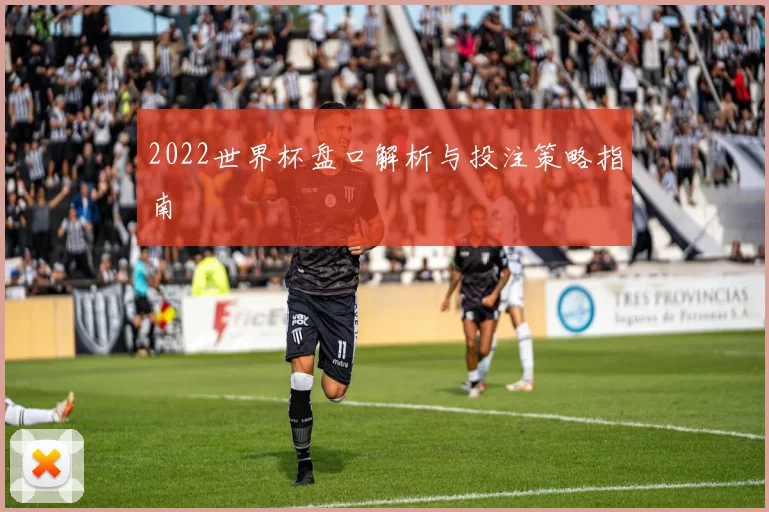 2022世界杯盘口解析与投注策略指南