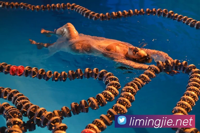 世界杯平台官网登录发展历程